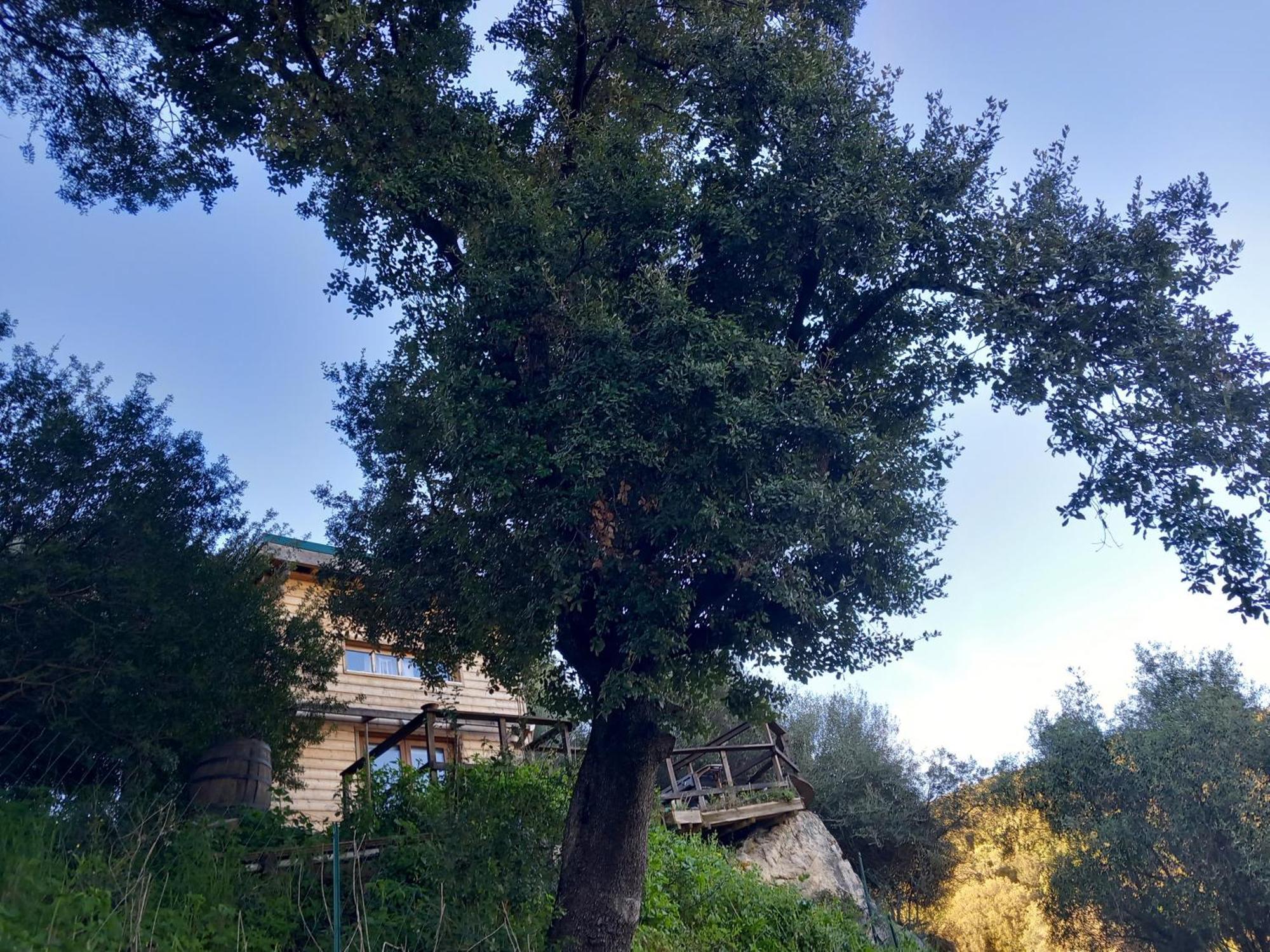 Villa A Croce Alata Exterior photo